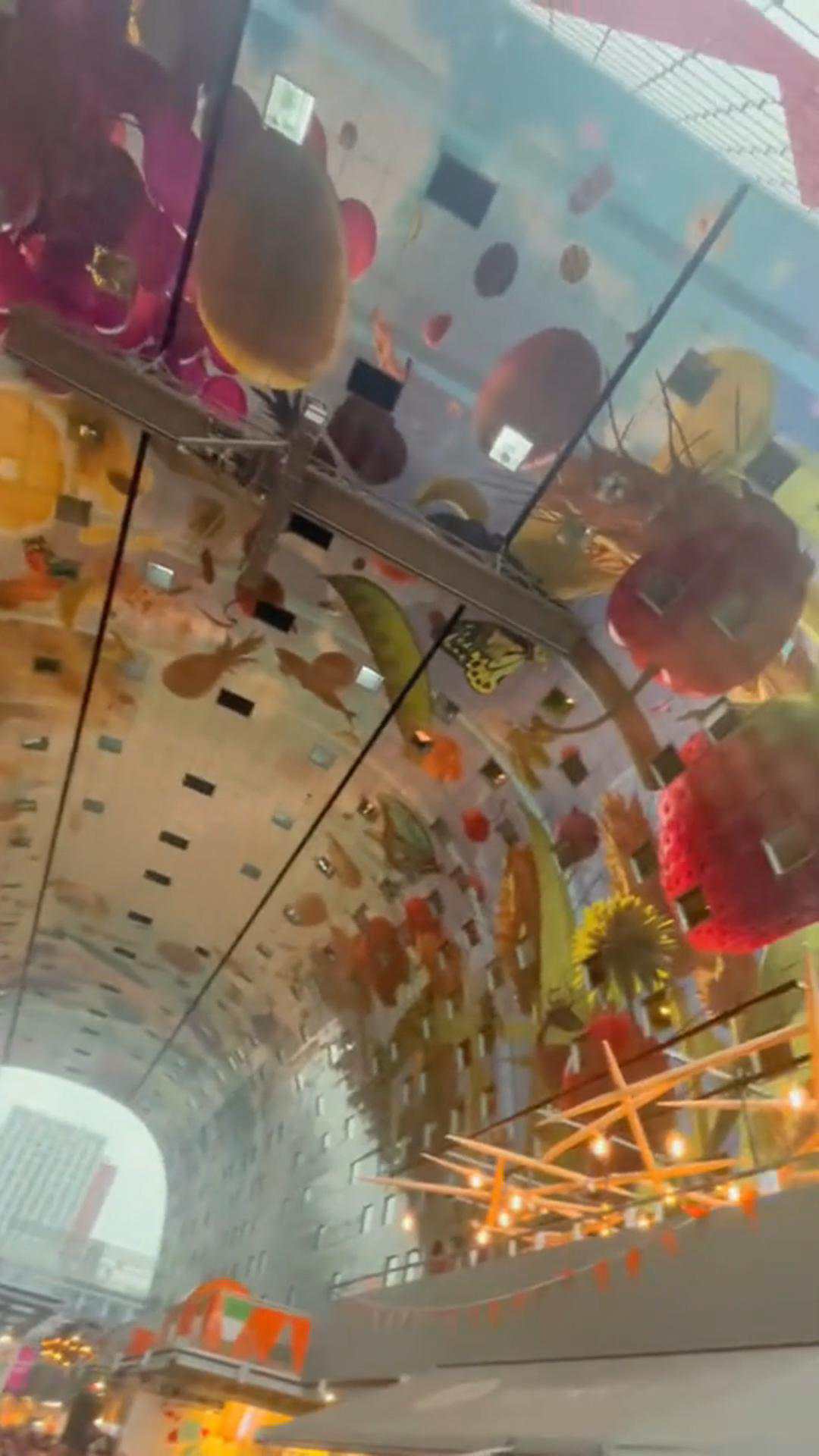 上海大馳探訪工業建筑設計與市井文化融合的范本：鹿特丹Markthal