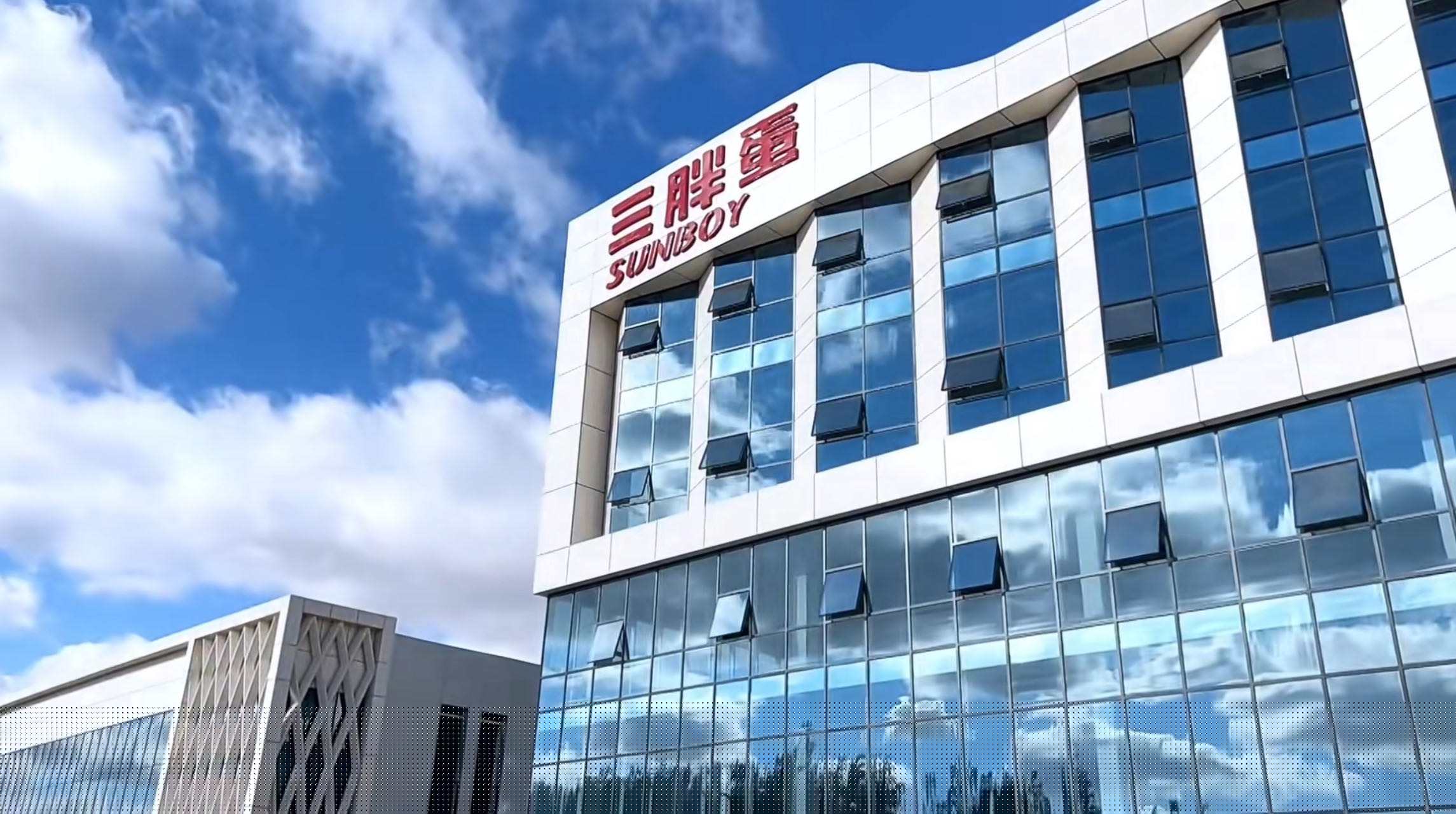 內蒙古三胖蛋瓜子生產工廠